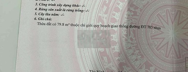 chính chủ 369m2 mặt tiền đường 785 20m nhựa ngay chợ katum giá 1.7 tỷ -02