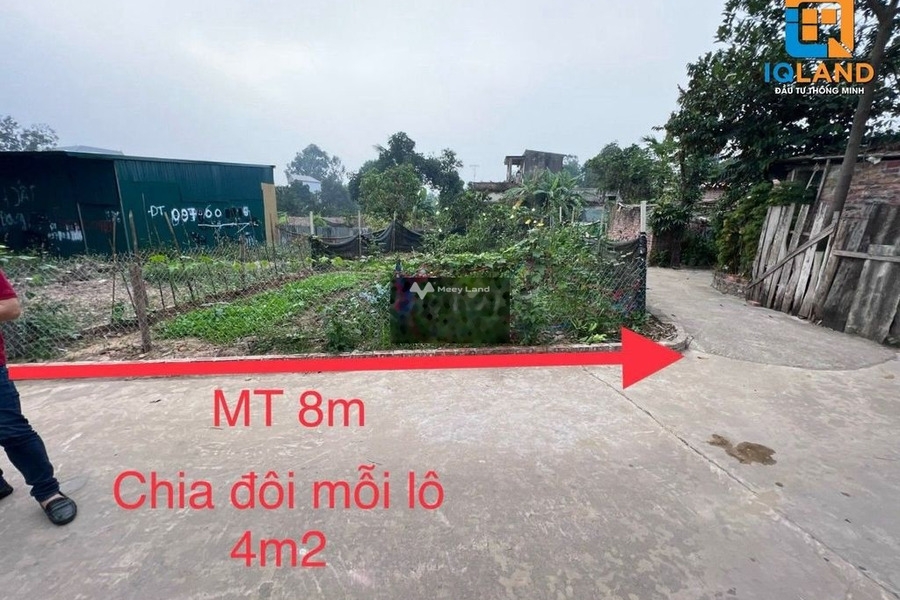 Tân Minh, Sóc Sơn 1.15 tỷ bán đất với diện tích là 103m2-01