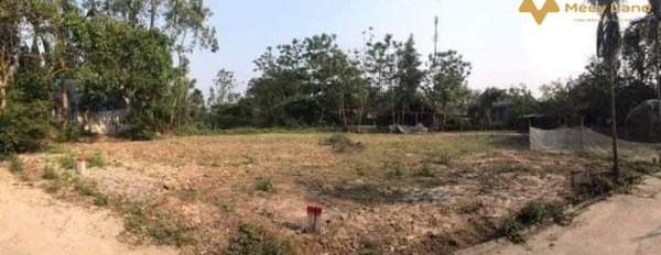Bán đất tại Phú Lương, Phú Vang, Thừa Thiên Huế. Diện tích 160m2, giá 809 triệu-03