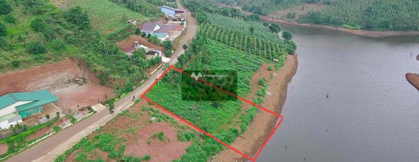 Nằm tại Thuận Hạnh, Đắk Song bán đất 580 triệu với diện tích là 500m2-03