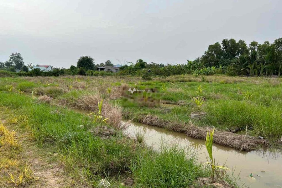 Vị trí thuận lợi nằm ở Thanh Phú Long, Long An bán đất giá bán từ 274 triệu diện tích khoảng là 550m2-01