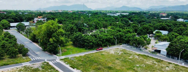 Cam Hải Tây, Khánh Hòa 11 tỷ bán đất diện tích vừa phải 5539m2-02