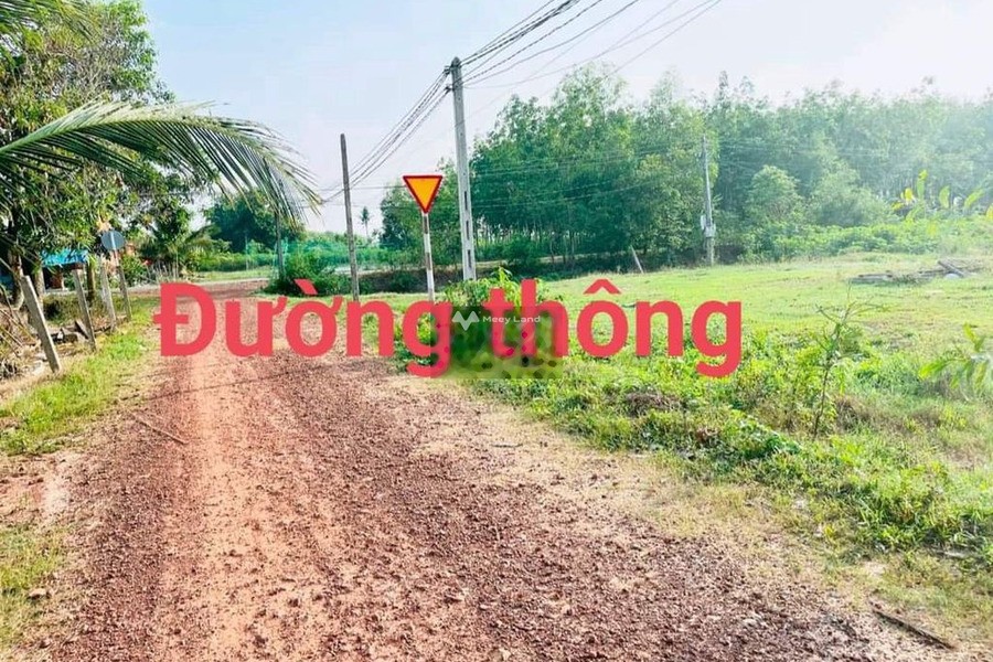 Vị trí thuận lợi tọa lạc ở Chà Là, Tây Ninh bán đất, giá cực êm chỉ 300 triệu diện tích chung quy 141m2-01