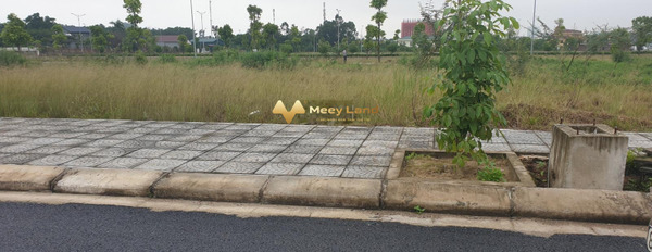 Bán đất Tổng diện tích 150 m2 vị trí đẹp tại Định Trung, Vĩnh Yên-03