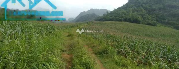 Tại Phú Thành, Hòa Bình bán đất 17.3 tỷ diện tích như sau 24000m2-02