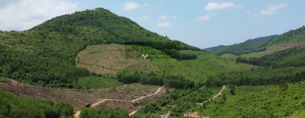 Nằm ngay bên trong Ninh Tây, Khánh Hòa bán đất giá bán hợp lý 9.1 tỷ diện tích mặt tiền 260000m2-02