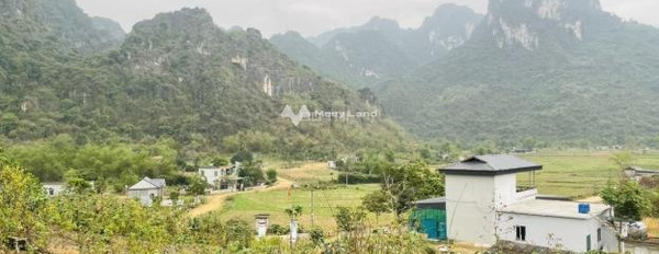 Cần bán đất vị trí đẹp tọa lạc ở Nuông Dăm, Kim Bôi. Diện tích 166005m2-02