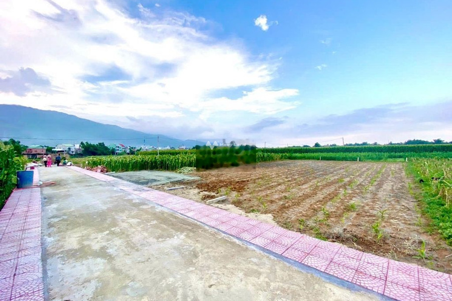 Đại Lộc, Quảng Nam bán đất giá bán tốt từ 355 triệu có diện tích thực 121m2-01