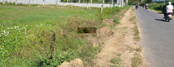 Cần bán đất mặt tiền đường nhựa liên xã Thuận Minh - Hàm Hiệp, đất ngang mặt tiền 70m -02