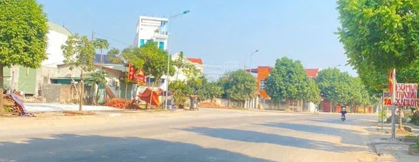 Bán mảnh đất giá 1,75 tỷ, diện tích 100m2 tại Đồng Ích, Vĩnh Phúc-03