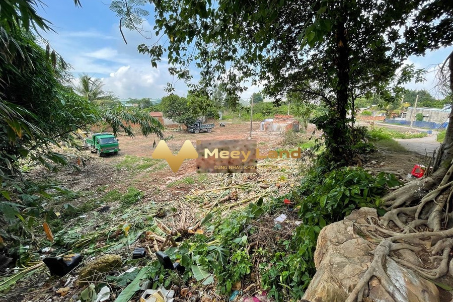 Không dùng nên cho thuê đất Phường Long Bình, Quận 9 giá thuê siêu khủng chỉ 30 triệu/tháng có một dt 3000 m2-01
