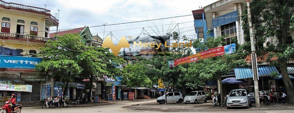 Bán đất 120 m2 mặt tiền tọa lạc trên Thị Trấn Kép, Huyện Lạng Giang-02