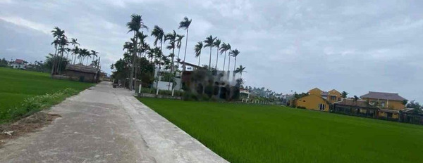 Cần bán đất view lúa Cẩm Thanh, Hội An, Quảng Nam -03