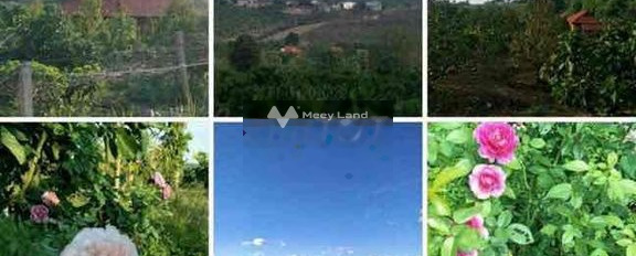 Chính chủ bán mảnh đất, 14000m2 giá bán thị trường 850 triệu ngay ở Krông Năng, Đắk Lắk, hướng Đông Bắc vị trí tốt-03