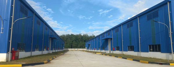 Bán hoặc cho thuê xưởng trong khu công nghiệp tại Bình Phước-02