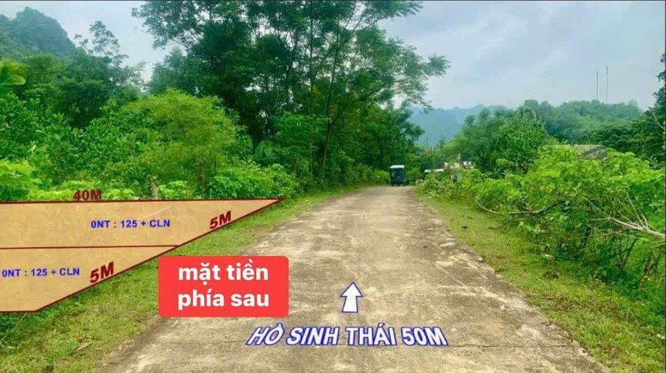 Bán đất huyện Yên Thủy tỉnh Hòa Bình giá 690.0 triệu-4