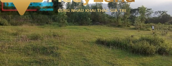 Bán 5000m Yên Trung, đất phẳng đẹp, mặt tiền rộng 70m, bám đường xe công giá đầu tư nhà phong thủy tốt-03