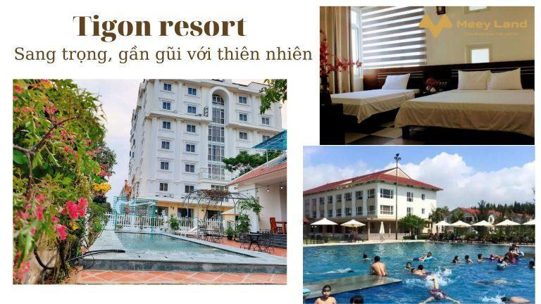 Cho thuê phòng tại Tigon resort