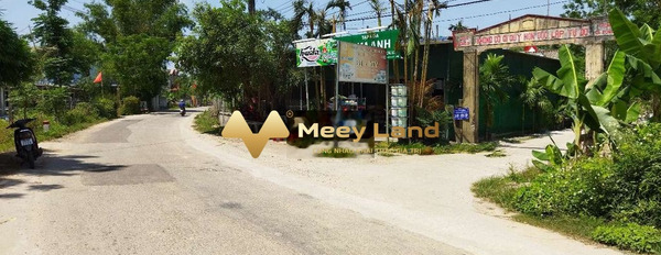 Huyện Phú Vang, Tỉnh Thừa Thiên Huế 930 triệu bán đất dt là 130 m2-02