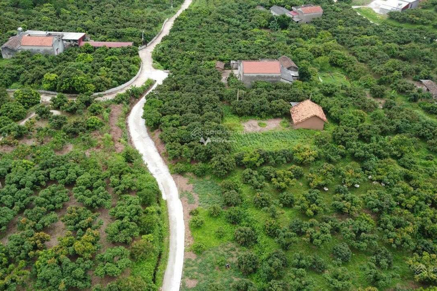 Lục Ngạn, Bắc Giang 950 triệu bán đất có diện tích thực 1796m2-01