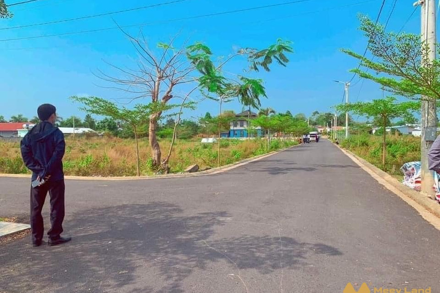 50 lô đất sổ riêng trung tâm huyện Tân Phú, giá chỉ từ 650 triệu-01