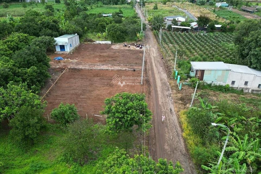 Phía trong Quốc Lộ 13, Bình Phước bán đất giá khủng chỉ 190 triệu có diện tích rộng 620m2-01