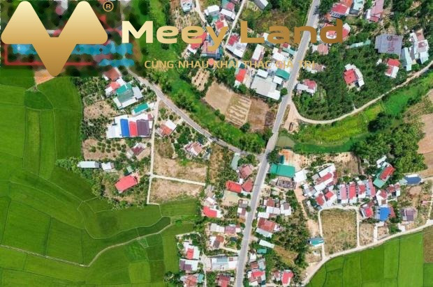 Giá bán mềm từ 260 triệu, bán đất diện tích chuẩn 100 m2 vị trí thuận lợi tọa lạc tại Diên Hòa, Diên Khánh-01