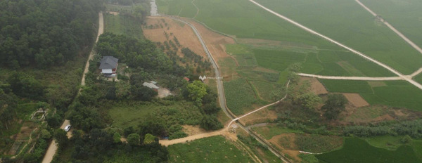 Bán đất giá 16 tỷ tại Đông Xuân, Quốc Oai. Diện tích 2000m2-03