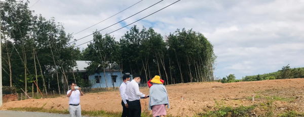 Bán đất tại khu dân cư Xã Lộc Thiện, Huyện Lộc Ninh, Tỉnh Bình Phước, diện tích 100m2-03