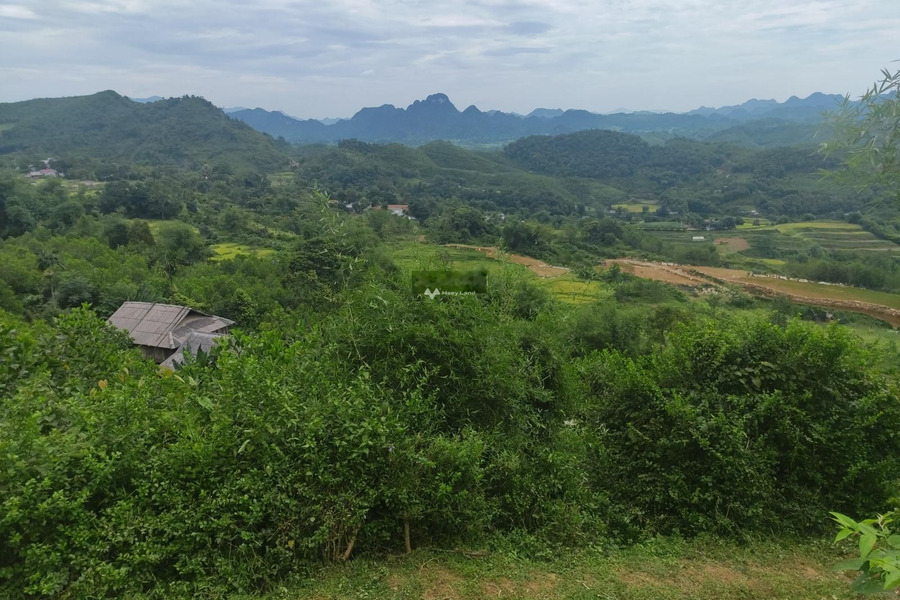 Vị trí mặt tiền gần Quốc Lộ 6, Phú Cường bán đất, giá siêu mềm từ 580 triệu có diện tích tổng 1150m2-01