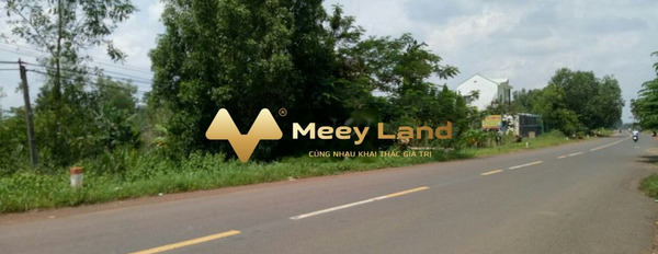 Tân Hưng, Bình Phước bán đất giá bán đặc biệt từ 700 triệu diện tích trong khoảng 200m2-02
