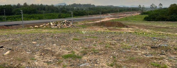Vị trí thuận lợi tọa lạc tại Xuân Tâm, Đồng Nai bán đất giá mua liền chỉ 27.5 tỷ có diện tích 55000m2-02