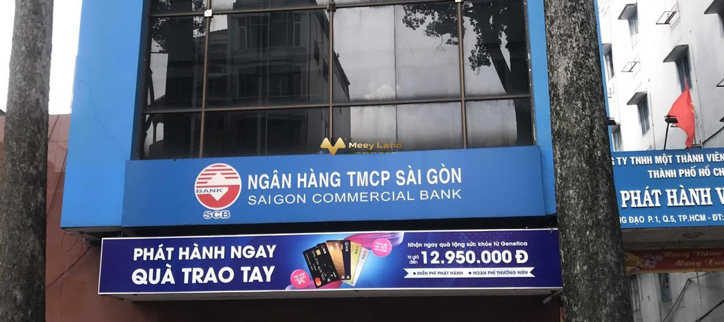 Bán nhà đường Hùng Vương, Hồ Chí Minh, giá 59 tỷ