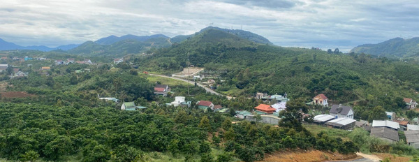 Giá siêu ưu đãi từ 30 tỷ bán đất với diện tích thực 7.88m2 vị trí đẹp nằm trên Đại Lào, Bảo Lộc-02