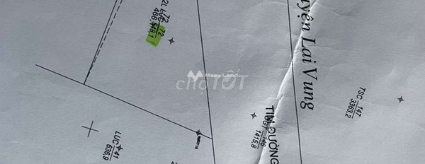Tại Lai Vung, Đồng Tháp bán đất 3.5 tỷ, hướng Đông Nam tổng diện tích là 506m2-02
