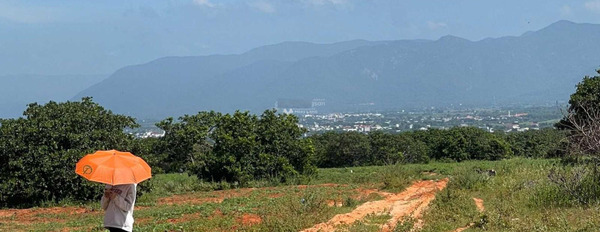 Phan Rí Thành, Bắc Bình bán đất giá rẻ chỉ 759 triệu có diện tích là 3456m2-02