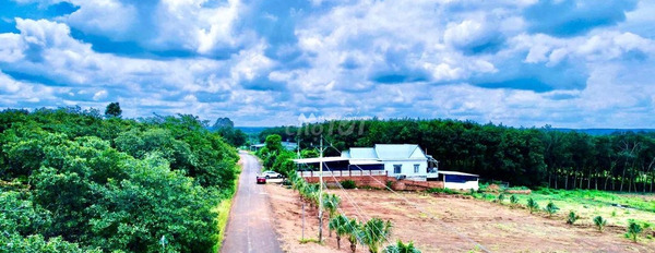 700 triệu bán đất diện tích tầm trung 200m2 vị trí nằm tại Thuận Phú, Bình Phước-02