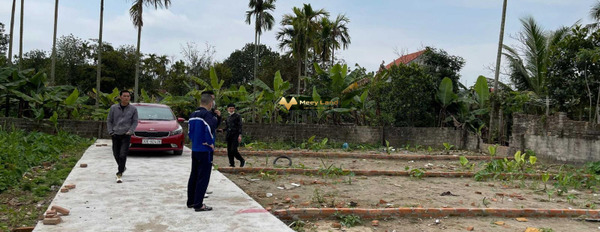 Chính chủ gửi bán lô đất với giá đầu tư tại Đa Phúc, Dương Kinh-02