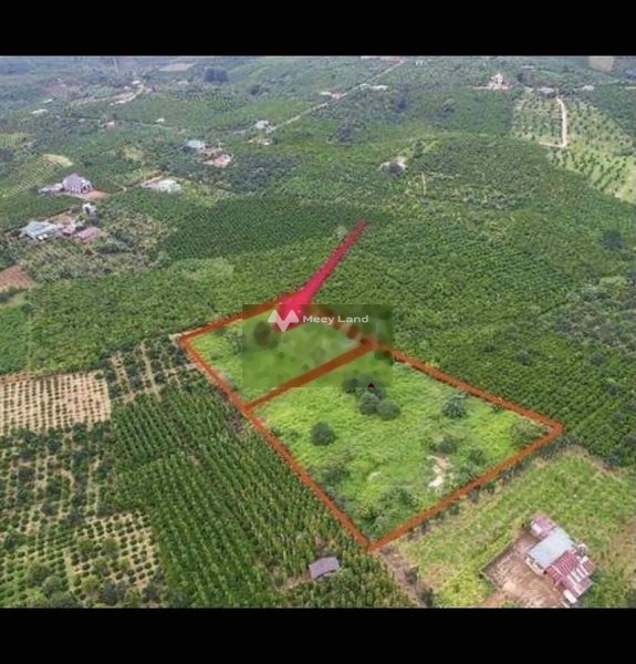 Giá bán hạt dẻ từ 5.2 tỷ bán đất diện tích mặt tiền 3250m2 tọa lạc tại Liên Xã, Lâm Đồng-01