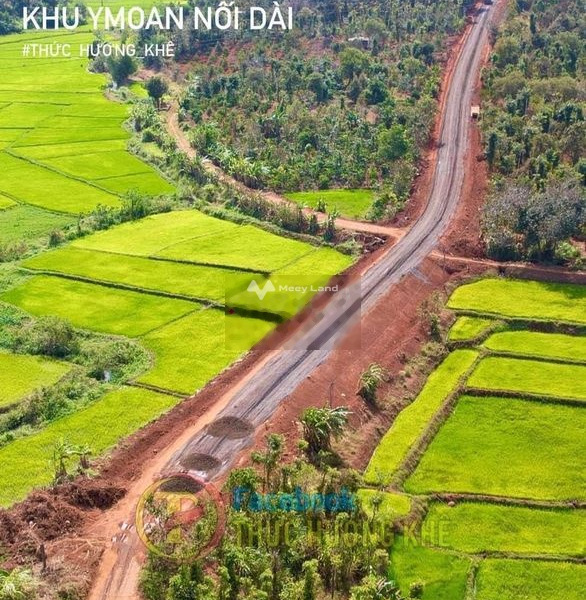 Cư M'gar, Đắk Lắk bán đất giá bán mong muốn chỉ 750 triệu, hướng Bắc Diện tích đất 250m2-01