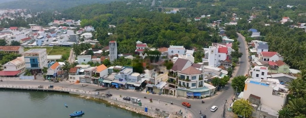 Giá 10 triệu/tháng, cho thuê nhà diện tích khoảng 360m2 mặt tiền tọa lạc trên Nguyễn Hồng Sơn, Sông Cầu tin chính chủ-03