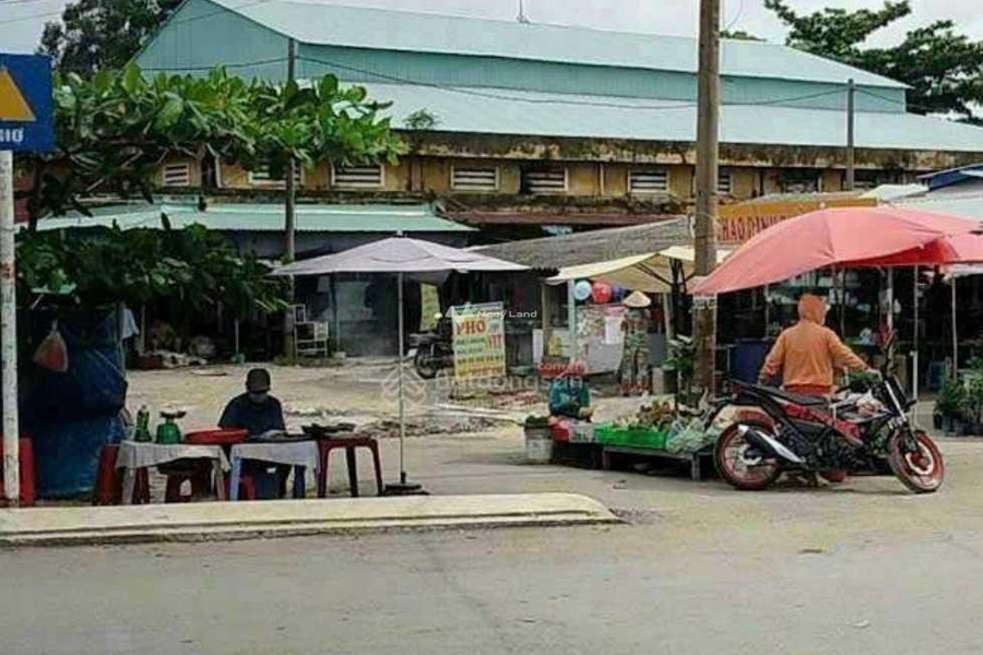 Tân Liêm, Phong Phú bán đất với diện tích 105m2-01