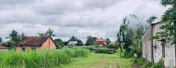 Ở Bình Sơn, Phú Riềng bán đất 380 triệu có diện tích tiêu chuẩn 250m2-02