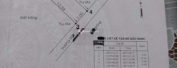 Bán đất 890 triệu Thạnh Lộc, Thạnh Lộc diện tích trong khoảng 65m2-02