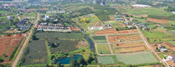 Bán đất 11 tỷ Bảo Lâm, Lâm Đồng diện tích rất rộng 6m2-02