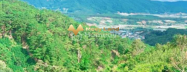 Xã Trạm Hành, Đà Lạt bán đất giá bất ngờ 930 triệu có dt tổng 500 m2-03