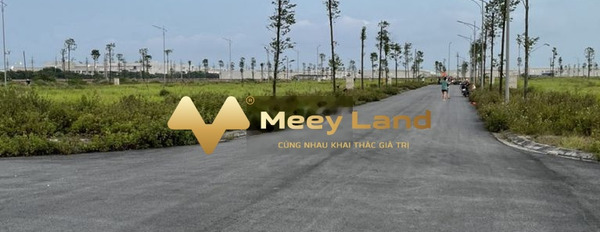 Vị trí mặt tiền ngay trên Từ Sơn, Bắc Ninh bán đất, giá siêu rẻ từ 1,4 tỷ-03