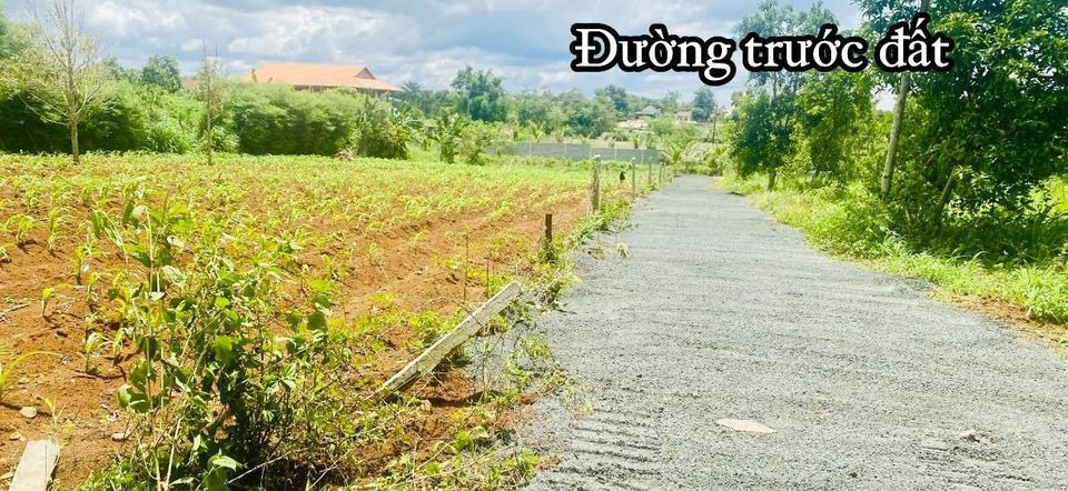 Bán đất huyện Thường Tín thành phố Hà Nội giá 469.0 triệu-6