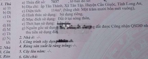 Tân Tập, Long An 850 triệu bán đất diện tích cụ thể 114m2-03