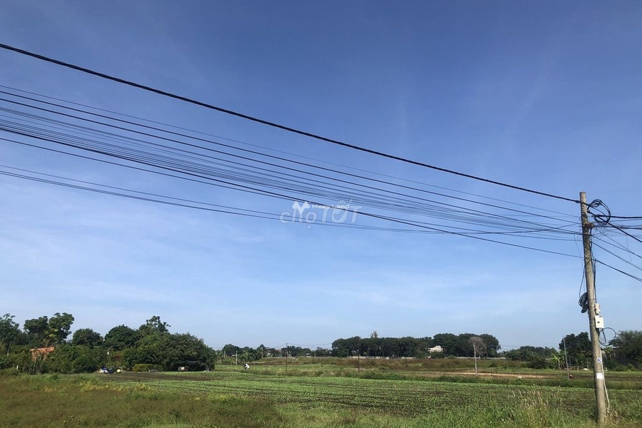 Xuân Phú, Đồng Nai bán đất giá bán siêu ưu đãi từ 7.05 tỷ diện tích rộng là 2816m2-01